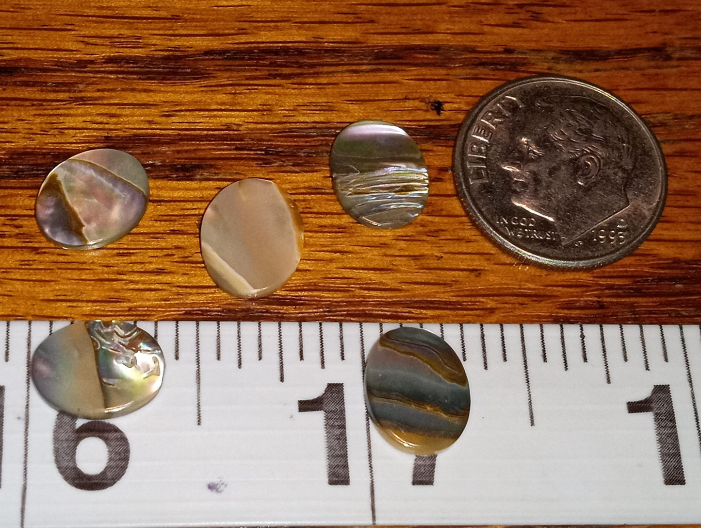 NOS Natural Abalone Flat 10 x 8mm Cabochons