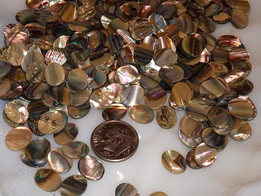 NOS Natural Abalone Flat 10 x 8mm Cabochons
